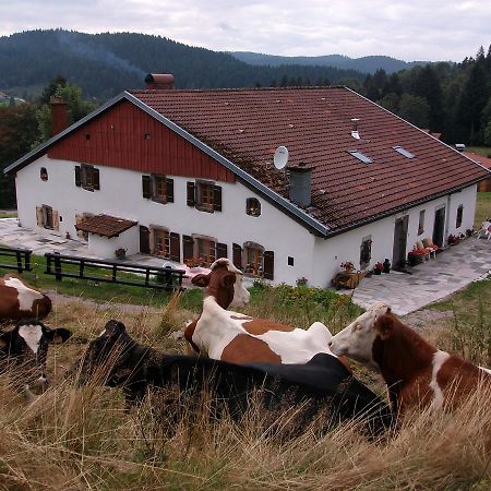 Appartement La Timoniere Gérardmer Exteriér fotografie