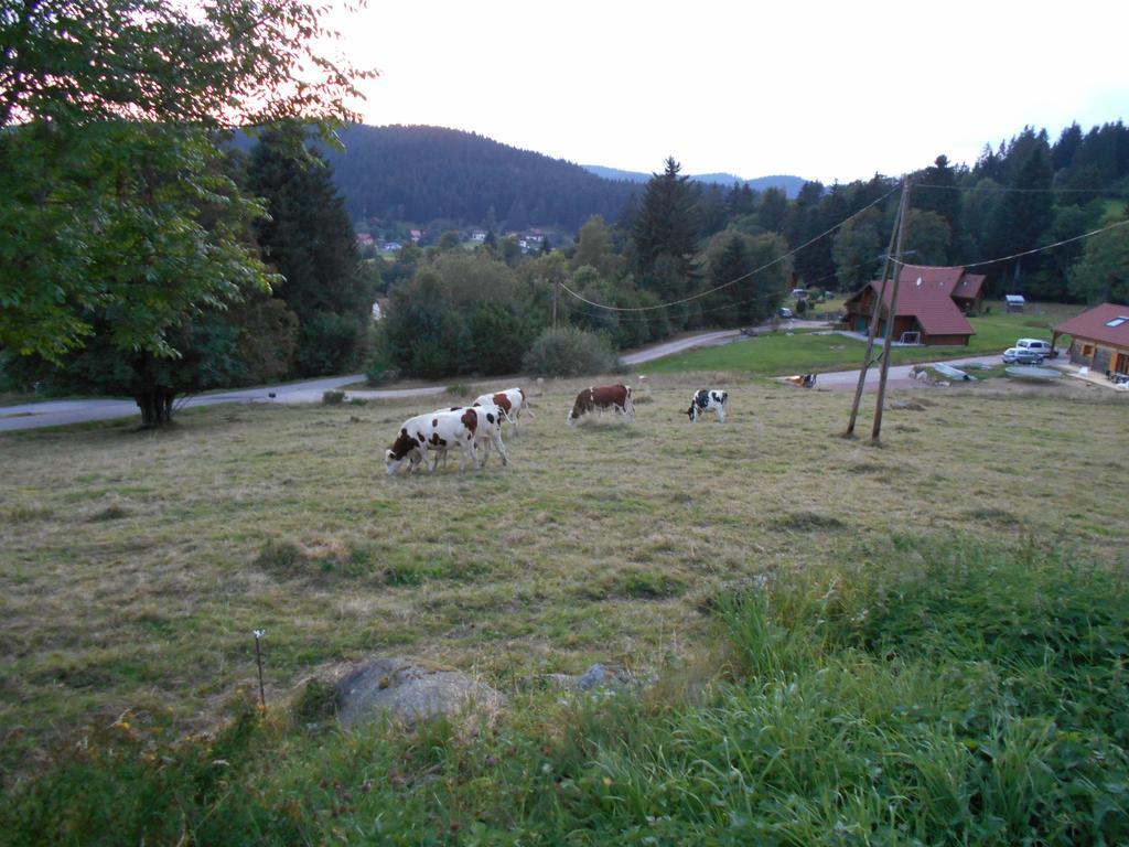 Appartement La Timoniere Gérardmer Exteriér fotografie