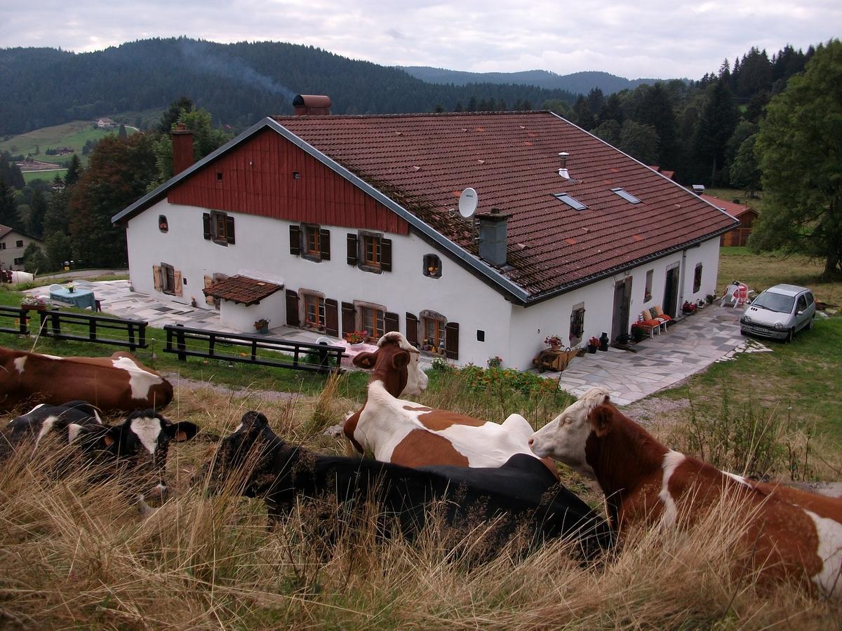 Appartement La Timoniere Gérardmer Exteriér fotografie