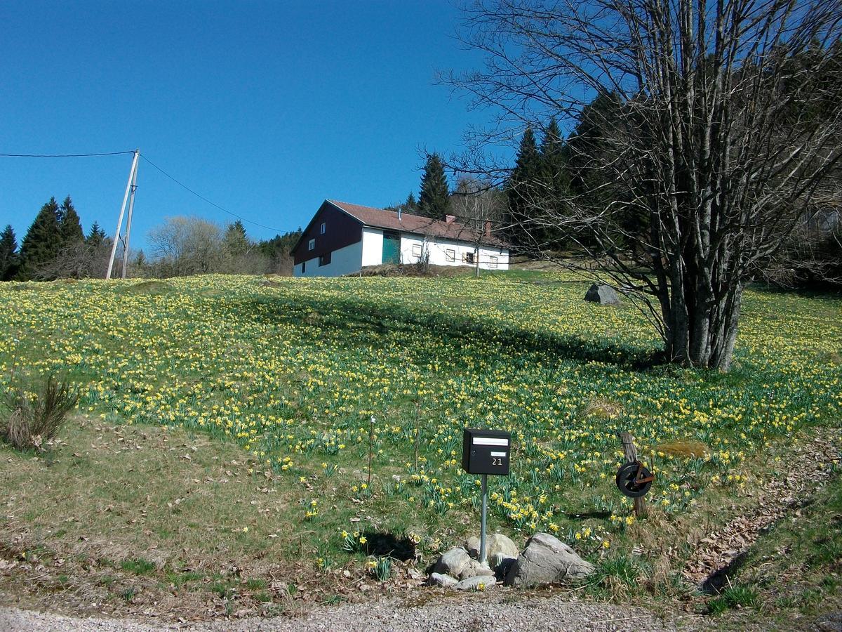 Appartement La Timoniere Gérardmer Exteriér fotografie