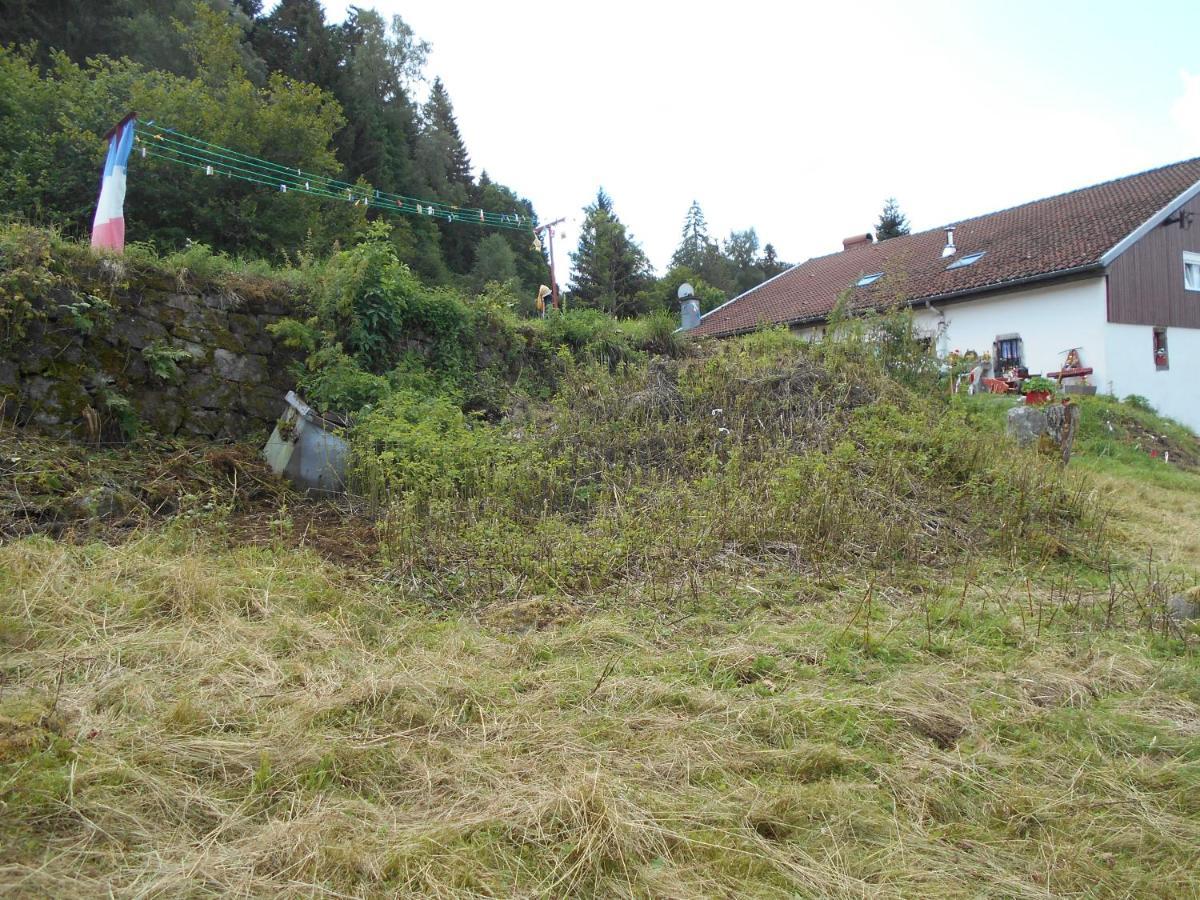 Appartement La Timoniere Gérardmer Exteriér fotografie